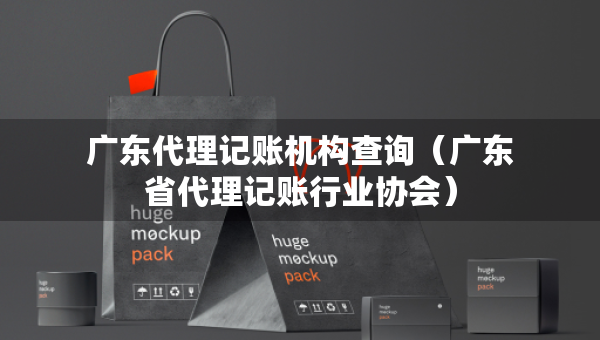 广东代理记账机构查询（广东省代理记账行业协会）