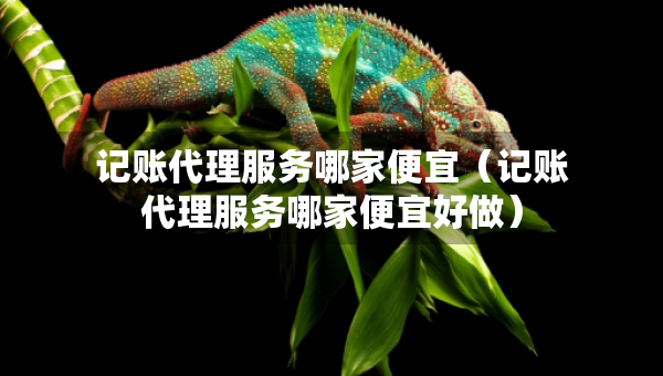 记账代理服务哪家便宜（记账代理服务哪家便宜好做）