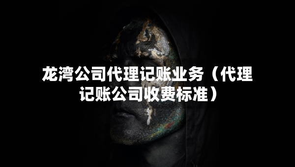 龙湾公司代理记账业务（代理记账公司收费标准）