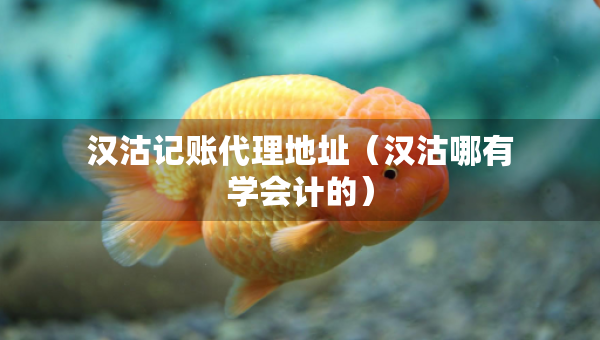 汉沽记账代理地址（汉沽哪有学会计的）