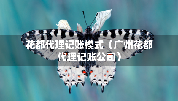 花都代理记账模式（广州花都代理记账公司）
