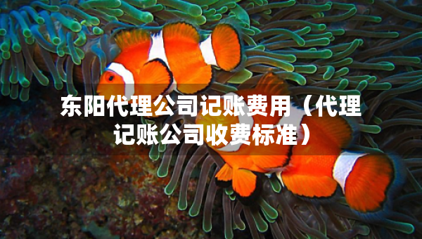 东阳代理公司记账费用（代理记账公司收费标准）