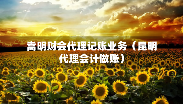 嵩明财会代理记账业务（昆明代理会计做账）