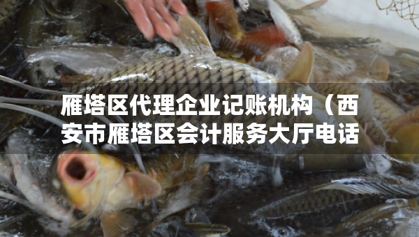 雁塔区代理企业记账机构（西安市雁塔区会计服务大厅电话）