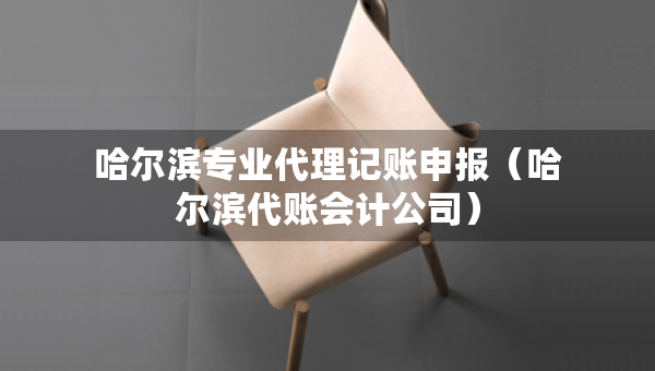 哈尔滨专业代理记账申报（哈尔滨代账会计公司）