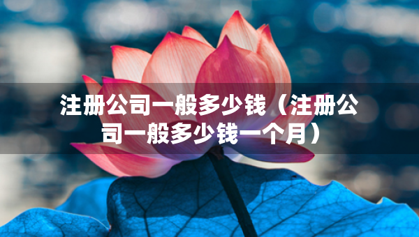 注册公司一般多少钱（注册公司一般多少钱一个月）