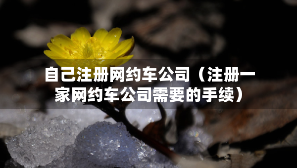 自己注册网约车公司（注册一家网约车公司需要的手续）