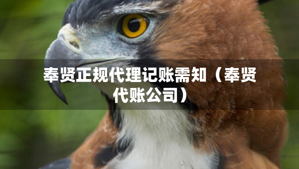 奉贤正规代理记账需知（奉贤代账公司）