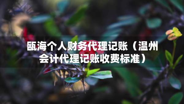 瓯海个人财务代理记账（温州会计代理记账收费标准）