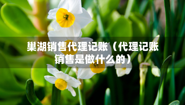 巢湖销售代理记账（代理记账销售是做什么的）