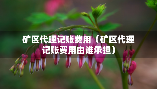 矿区代理记账费用（矿区代理记账费用由谁承担）