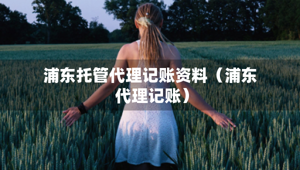 浦东托管代理记账资料（浦东 代理记账）