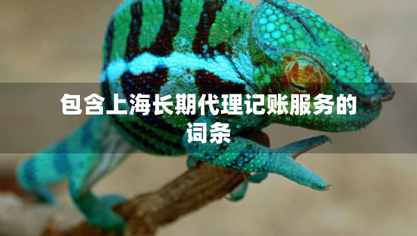 包含上海长期代理记账服务的词条