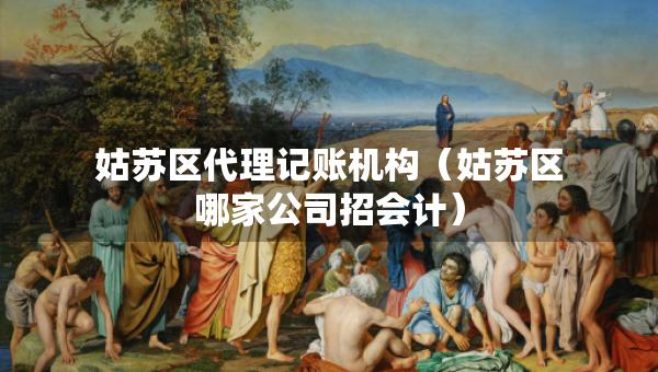 姑苏区代理记账机构（姑苏区哪家公司招会计）
