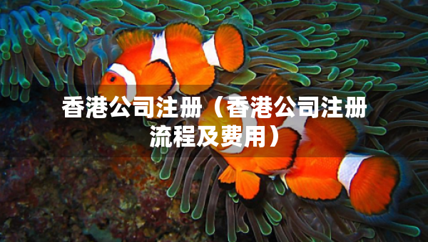 香港公司注册（香港公司注册流程及费用）