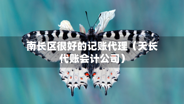 南长区很好的记账代理（天长代账会计公司）
