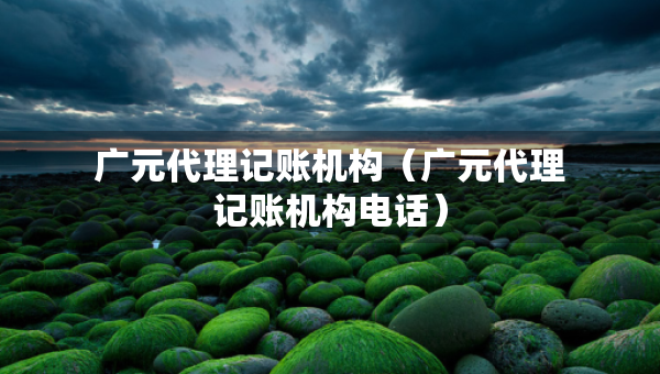 广元代理记账机构（广元代理记账机构电话）