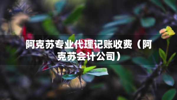 阿克苏专业代理记账收费（阿克苏会计公司）
