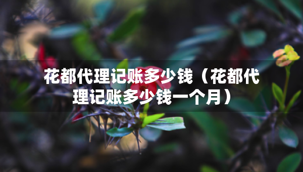 花都代理记账多少钱（花都代理记账多少钱一个月）
