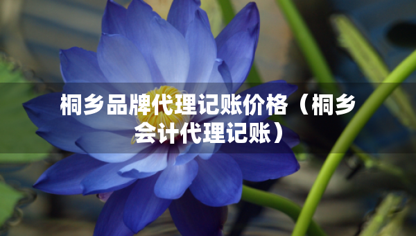 桐乡品牌代理记账价格（桐乡会计代理记账）