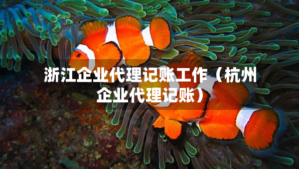 浙江企业代理记账工作（杭州企业代理记账）