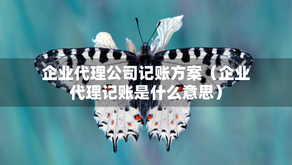 企业代理公司记账方案（企业代理记账是什么意思）