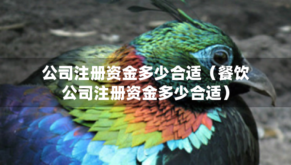 公司注册资金多少合适（餐饮公司注册资金多少合适）