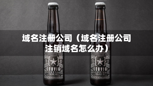 域名注册公司（域名注册公司注销域名怎么办）