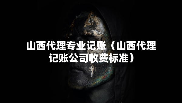 山西代理专业记账（山西代理记账公司收费标准）