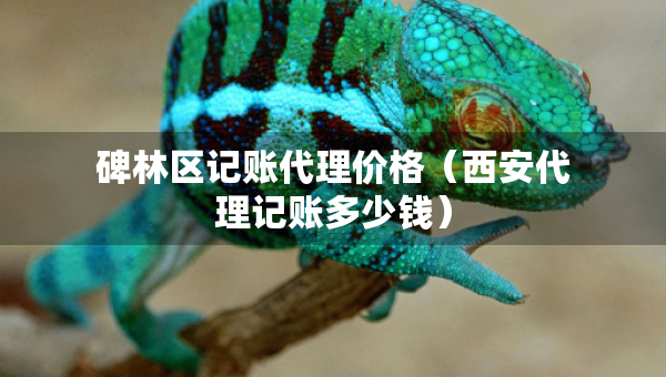 碑林区记账代理价格（西安代理记账多少钱）