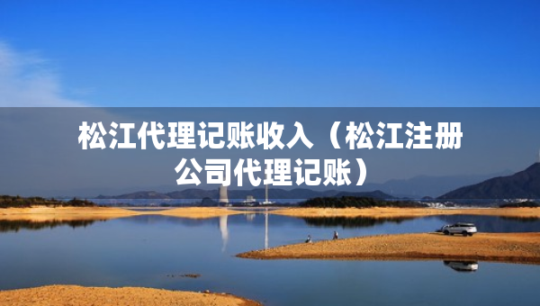 松江代理记账收入（松江注册公司代理记账）