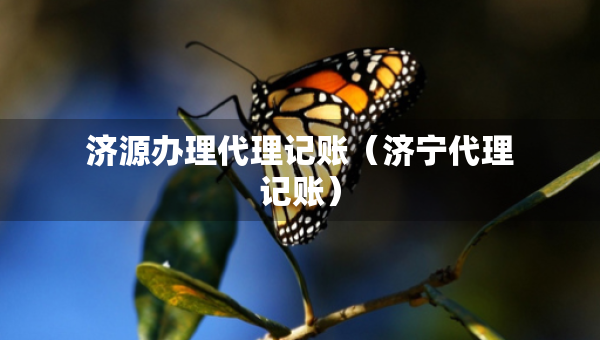 济源办理代理记账（济宁代理记账）