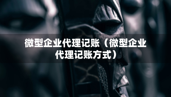 微型企业代理记账（微型企业代理记账方式）