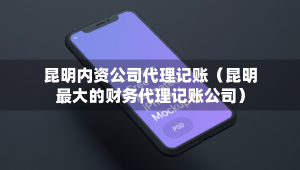 昆明内资公司代理记账（昆明最大的财务代理记账公司）