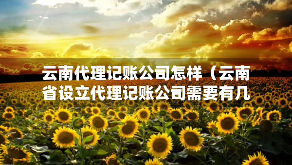 云南代理记账公司怎样（云南省设立代理记账公司需要有几个人）