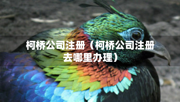 柯桥公司注册（柯桥公司注册去哪里办理）
