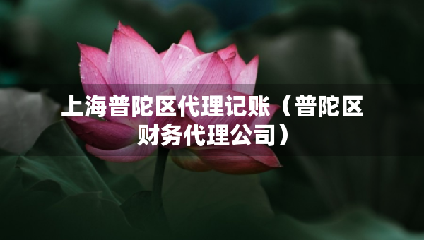 上海普陀区代理记账（普陀区财务代理公司）