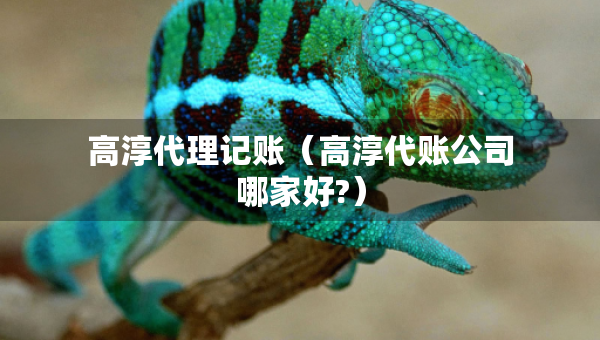 高淳代理记账（高淳代账公司哪家好?）