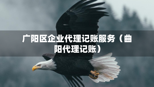 广阳区企业代理记账服务（曲阳代理记账）