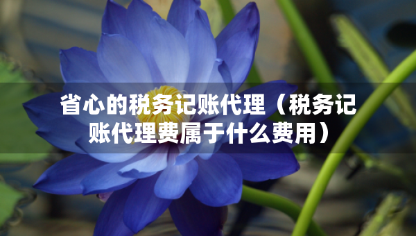 省心的税务记账代理（税务记账代理费属于什么费用）