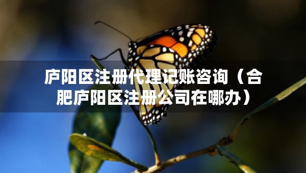 庐阳区注册代理记账咨询（合肥庐阳区注册公司在哪办）