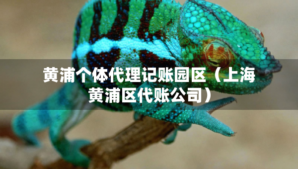 黄浦个体代理记账园区（上海黄浦区代账公司）