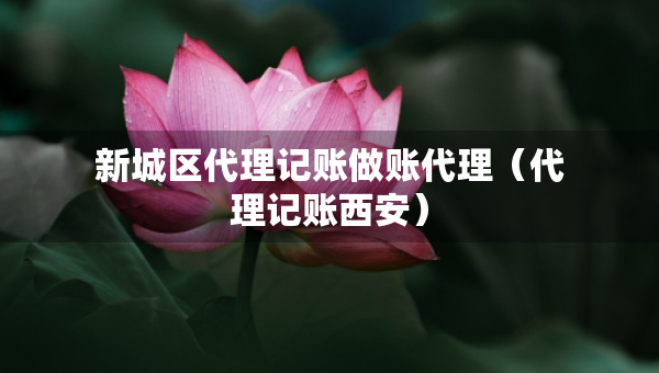 新城区代理记账做账代理（代理记账西安）