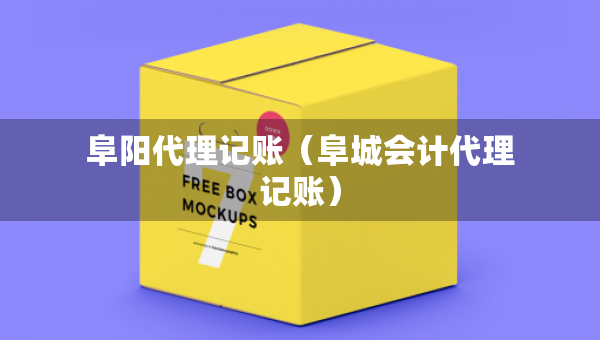 阜阳代理记账（阜城会计代理记账）