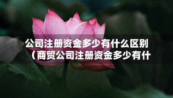 公司注册资金多少有什么区别（商贸公司注册资金多少有什么区别）