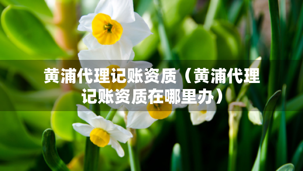 黄浦代理记账资质（黄浦代理记账资质在哪里办）