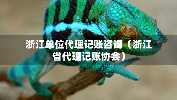浙江单位代理记账咨询（浙江省代理记账协会）