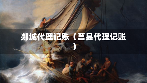 郯城代理记账（莒县代理记账）