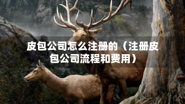 皮包公司怎么注册的（注册皮包公司流程和费用）
