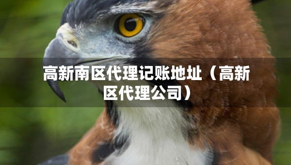 高新南区代理记账地址（高新区代理公司）